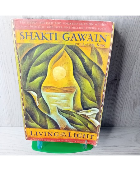 SHAKTI GAWAIN LIVING IN THE LIGHT BOOK - RARE RETRO