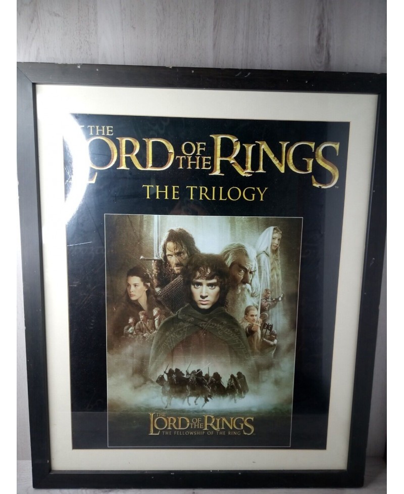 LORD OF THE RINGS CUSTOM FRAMED WALL PICTURE 25 x  30"- LARGE CUSTOM FRAMED ART