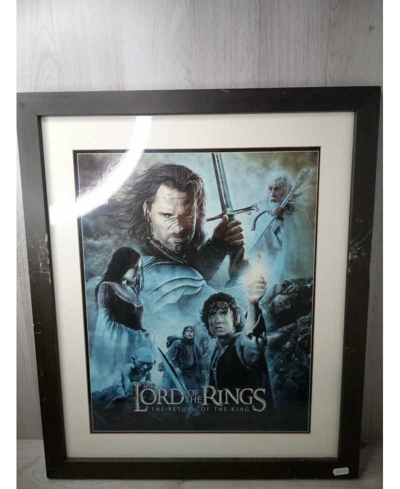 LORD OF THE RINGS CUSTOM FRAMED WALL PICTURE 20 x  24" LARGE CUSTOM FRAMED ART